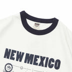 NEW MEXICO BARNS BR25235