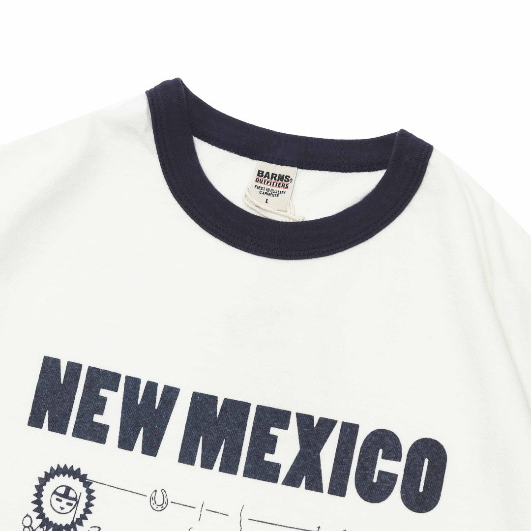 NEW MEXICO BARNS BR25235