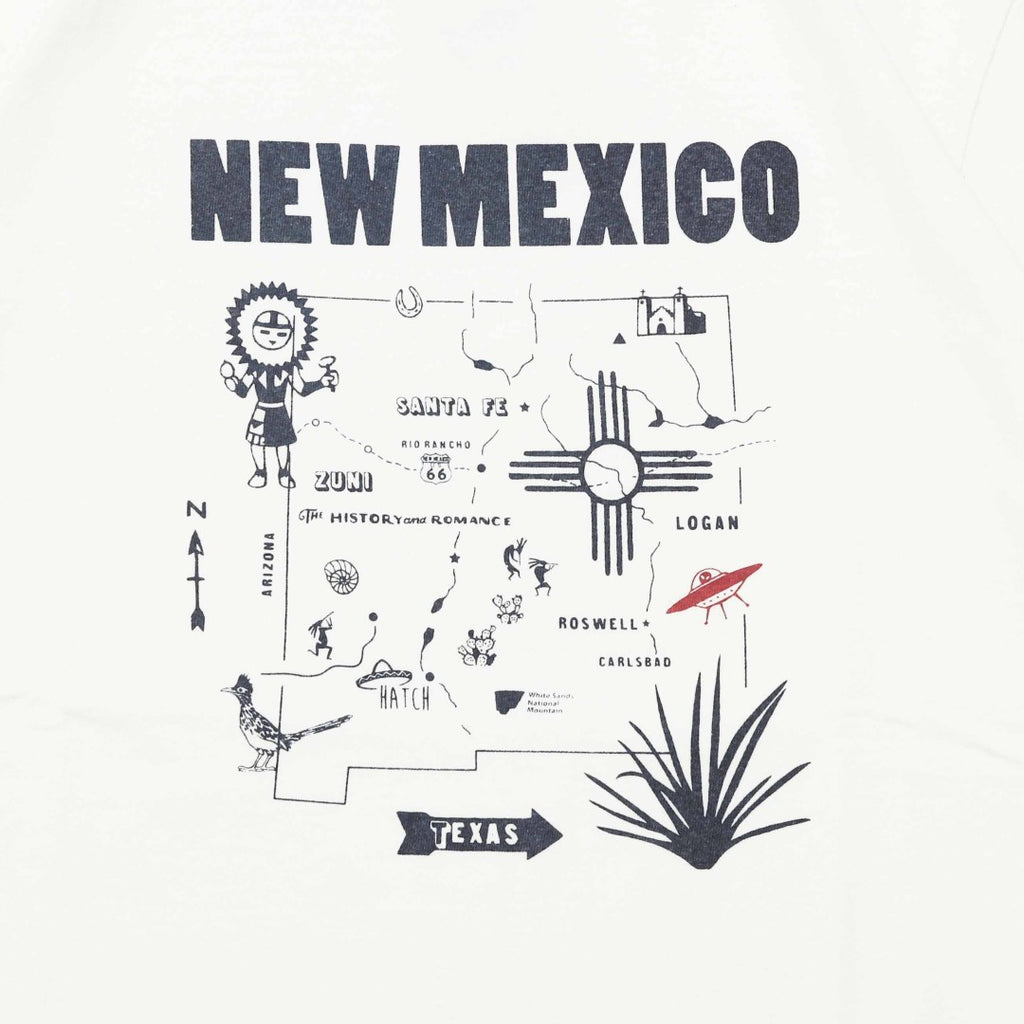 NEW MEXICO BARNS BR25235