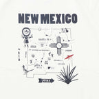 NEW MEXICO BARNS BR25235