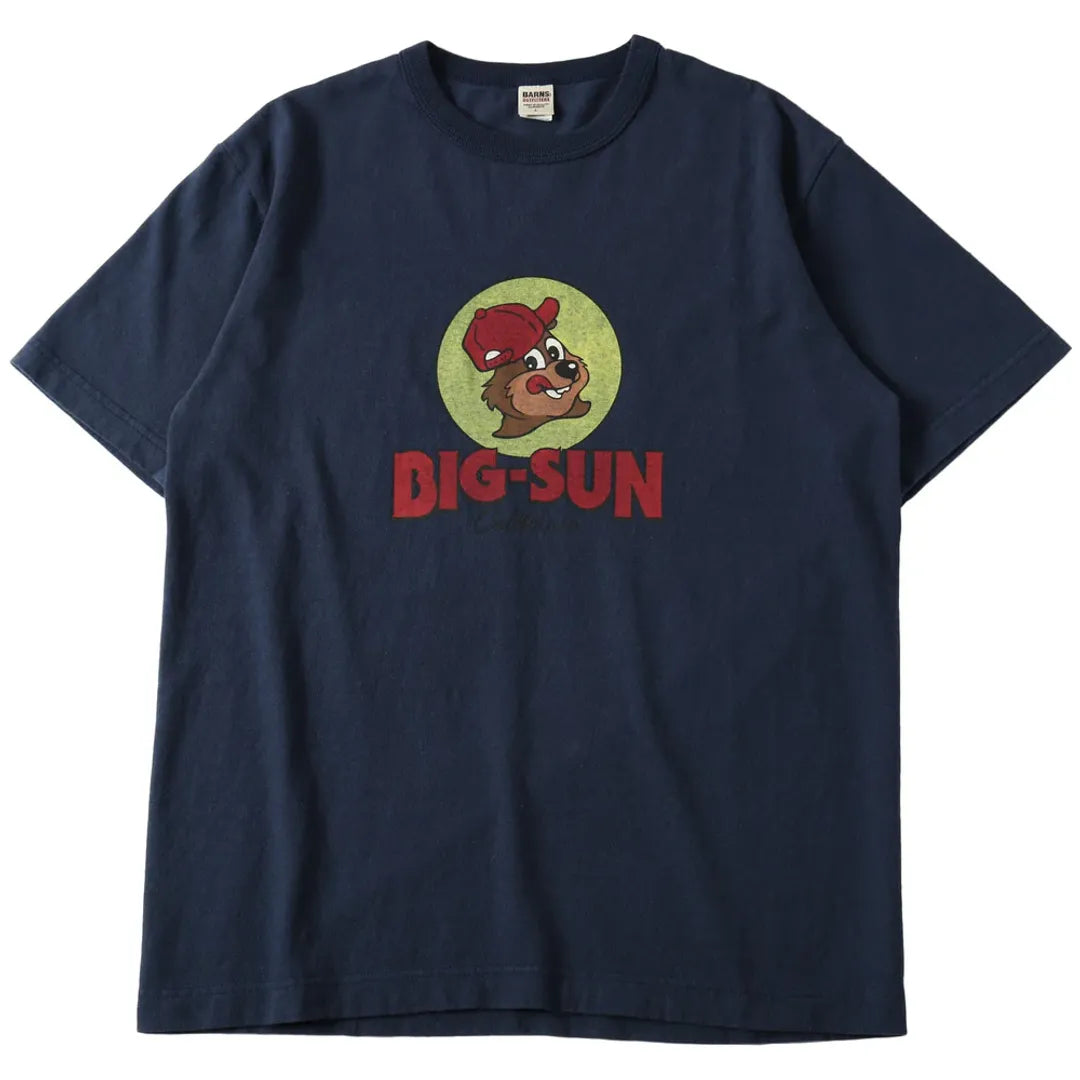 BIG SUN BARNS BR25180