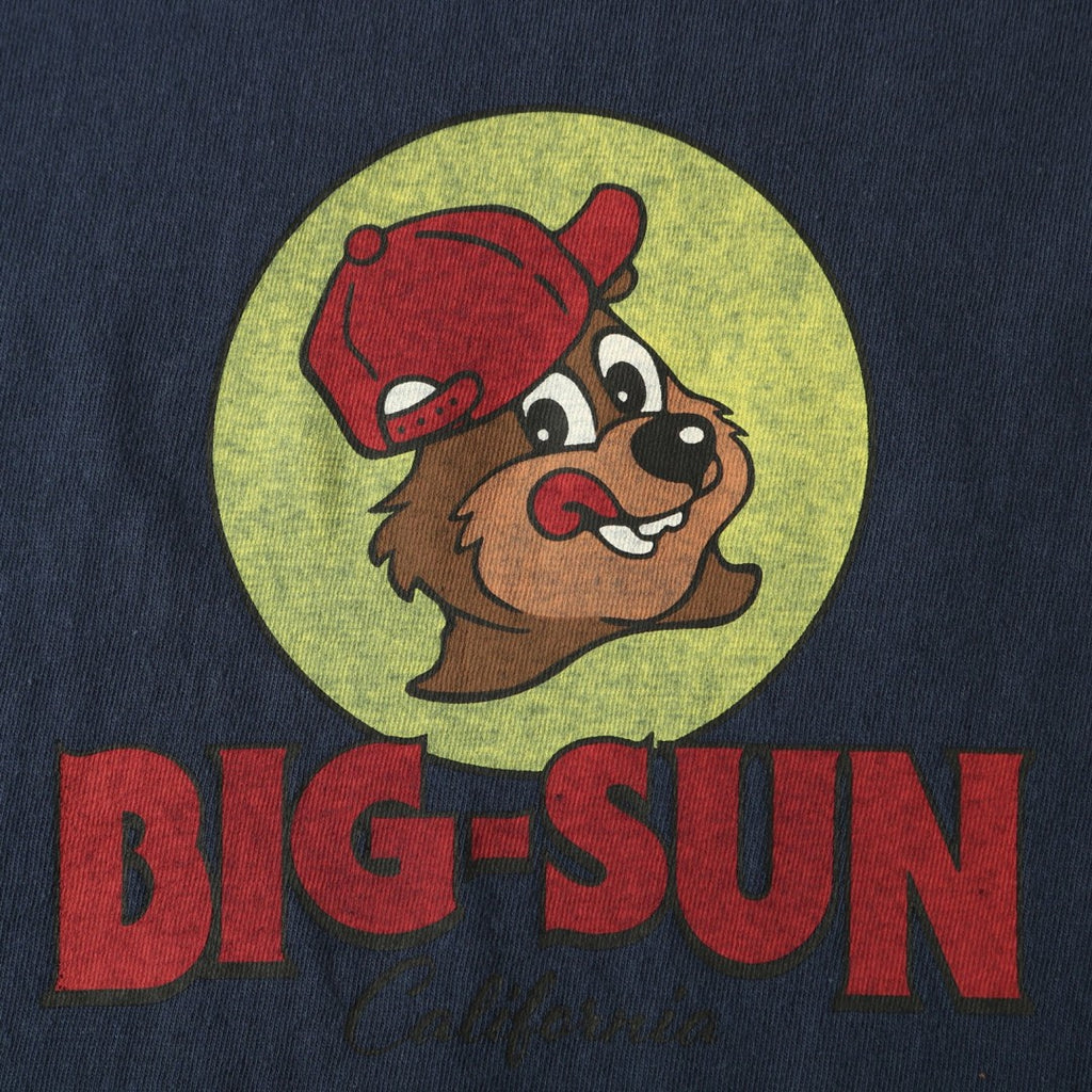 BIG SUN BARNS BR25180