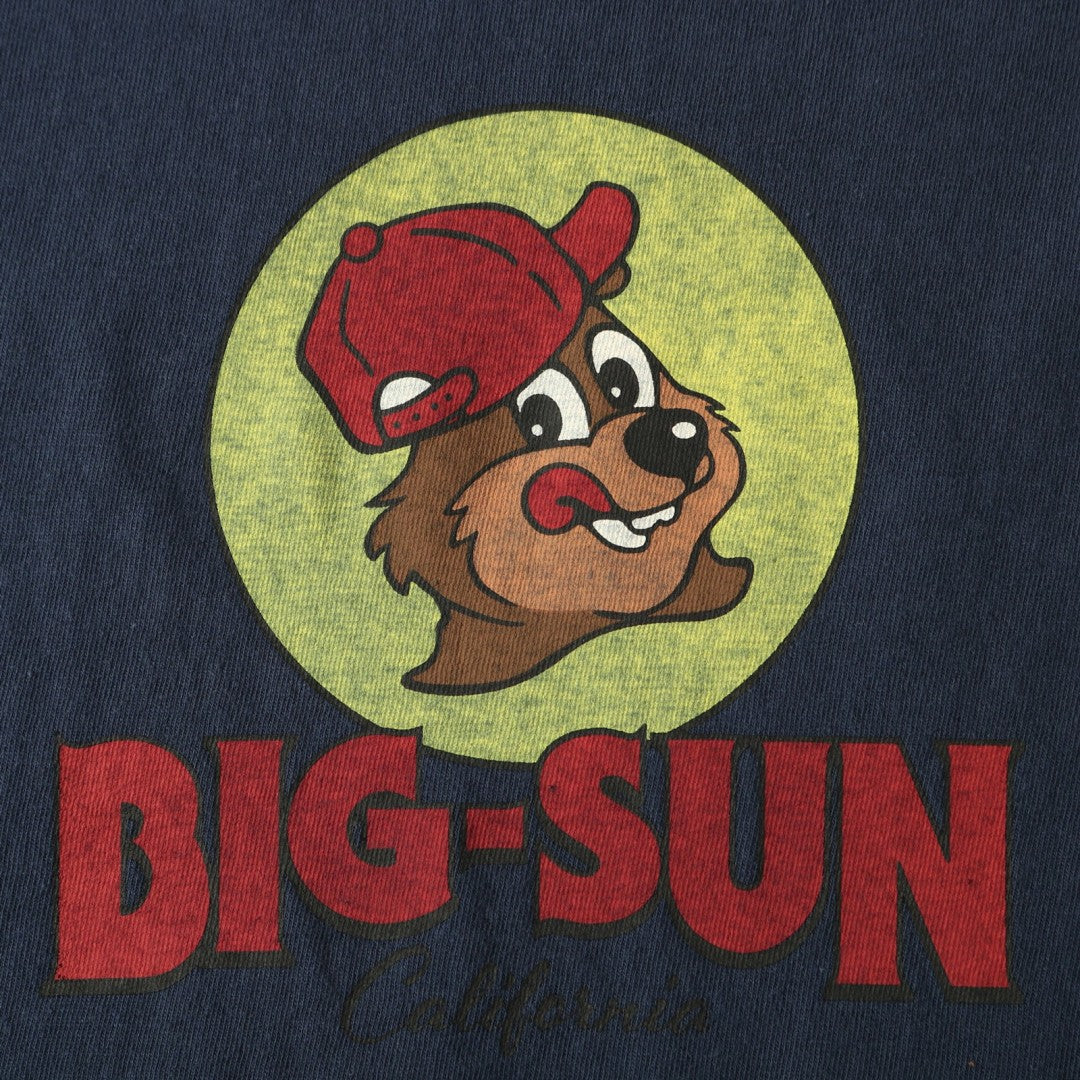 BIG SUN BARNS BR25180